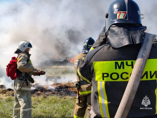 43 пожара, 32 ДТП, 2 трагедии на воде: итоги спасателей Ростовской области за неделю - Новости Ростова-на-Дону - последние новости Ростова-на-Дону сегодня на 1rnd.ru, 13.04.2026