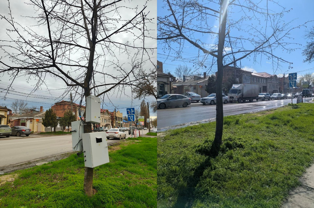 В Таганроге опровергли слухи о шкафах управления, закрепленных на дереве - Новости Ростова-на-Дону - последние новости Ростова-на-Дону сегодня на 1rnd.ru, 13.04.2026