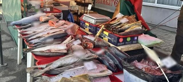 В Ростове изъяли партию немаркированной рыбы на 1,4 млн рублей - Новости Ростова-на-Дону - последние новости Ростова-на-Дону сегодня на 1rnd.ru, 15.04.2026