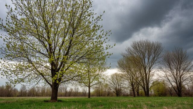 Пасмурно и +18 градусов: прогноз погоды в Ростове 16 апреля - Новости Ростова-на-Дону - последние новости Ростова-на-Дону сегодня на 1rnd.ru, 15.04.2026