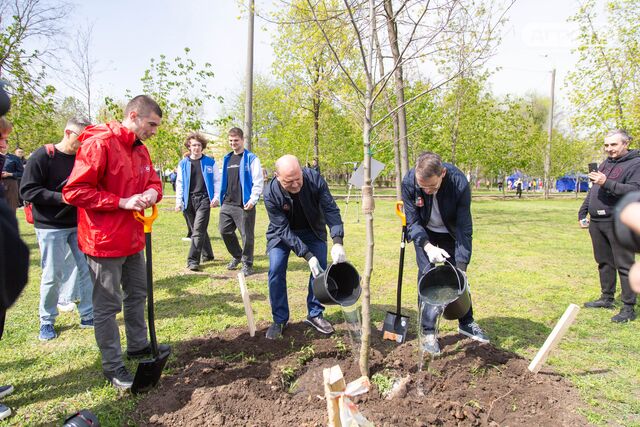 Весенний День древонасаждения ДГТУ в Студенческом парке: более 600 активистов высадили 120 деревьев - Новости Ростова-на-Дону - последние новости Ростова-на-Дону сегодня на 1rnd.ru, 20.04.2026