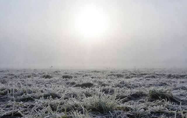 Апрельский мороз: в Ростовской области три ночи подряд прогнозируют заморозки - Новости Ростова-на-Дону - последние новости Ростова-на-Дону сегодня на 1rnd.ru, 20.04.2026