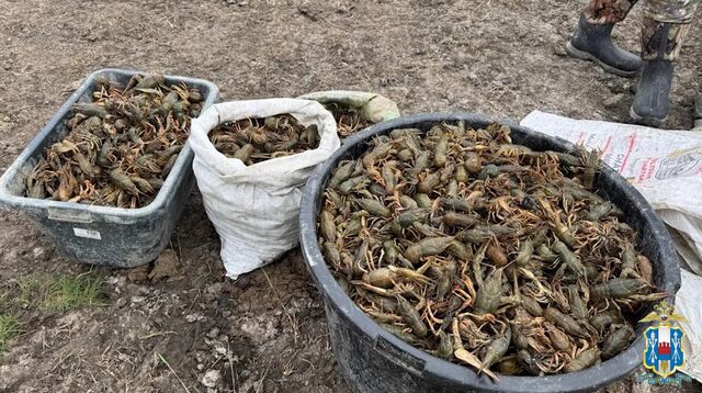 Ущерб свыше 500 тысяч рублей: в Ростовской области с добычей пойманы очередные браконьеры - Новости Ростова-на-Дону - последние новости Ростова-на-Дону сегодня на 1rnd.ru, 20.04.2026