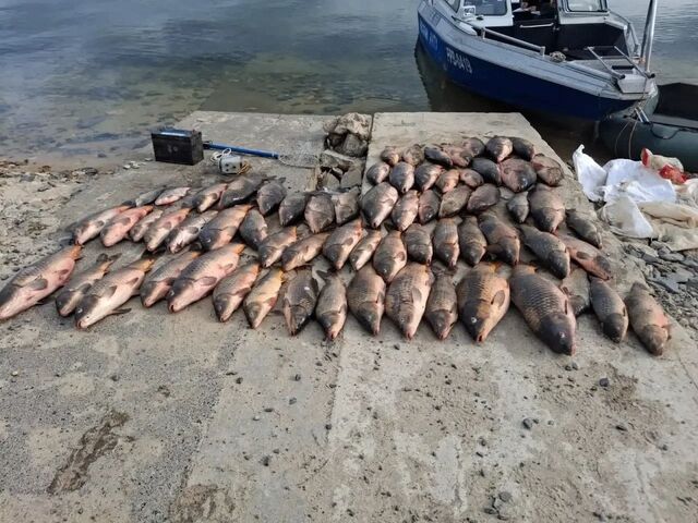 В Цимлянске задержали браконьера с «токсичным» уловом - Новости Ростова-на-Дону - последние новости Ростова-на-Дону сегодня на 1rnd.ru, 29.04.2026