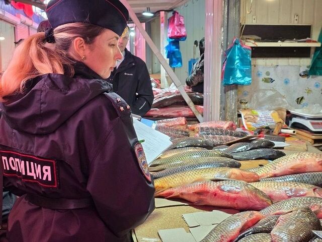 На рынке в Шахтах поймали «серых» продавцов и рыбу без «паспорта» - Новости Ростова-на-Дону - последние новости Ростова-на-Дону сегодня на 1rnd.ru, 29.04.2026