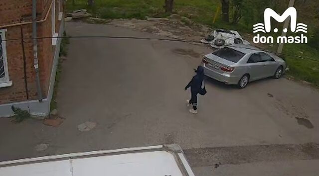 Жительница Ростова расстреливает бродячих собак: видео попало в сеть - Новости Ростова-на-Дону - последние новости Ростова-на-Дону сегодня на 1rnd.ru, 04.05.2026
