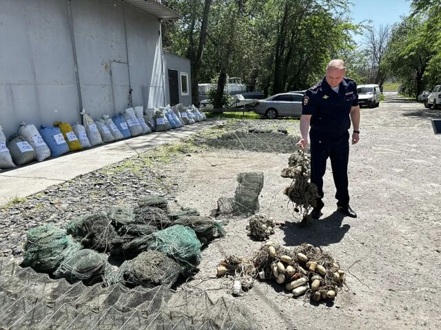 Изъятые у браконьеров сети в Ростовской области отправят в зону СВО - Новости Ростова-на-Дону - последние новости Ростова-на-Дону сегодня на 1rnd.ru, 23.05.2026