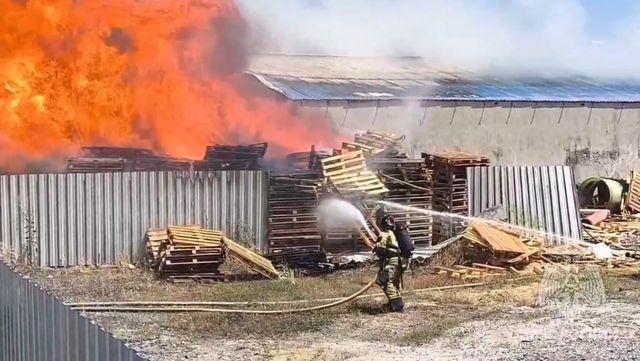 За сутки 53 пожара потушили в Ростовской области - Новости Ростова-на-Дону - последние новости Ростова-на-Дону сегодня на 1rnd.ru, 11.07.2026