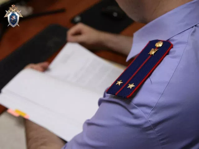 СК возбудил дело после гибели 10-летнего ребенка в пожаре в Сальске - Новости Ростова-на-Дону - последние новости Ростова-на-Дону сегодня на 1rnd.ru, 23.07.2026