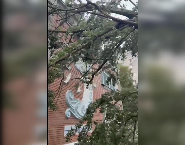 Несколько детских садов в Ростове не примут детей в понедельник из-за разрушений - Новости Ростова-на-Дону - последние новости Ростова-на-Дону сегодня на 1rnd.ru, 26.07.2026