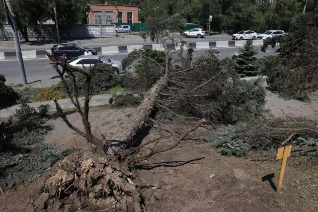 Трое погибших и 59 пострадавших: итоги урагана в Ростовской области - Новости Ростова-на-Дону - последние новости Ростова-на-Дону сегодня на 1rnd.ru, 28.07.2026
