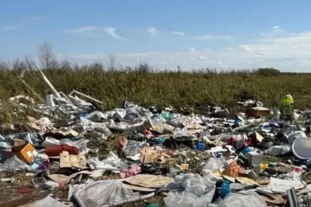 Гребной канал утопает в мусоре: минприроды нашло несанкционированные свалки - Новости Ростова-на-Дону - последние новости Ростова-на-Дону сегодня на 1rnd.ru, 22.09.2026