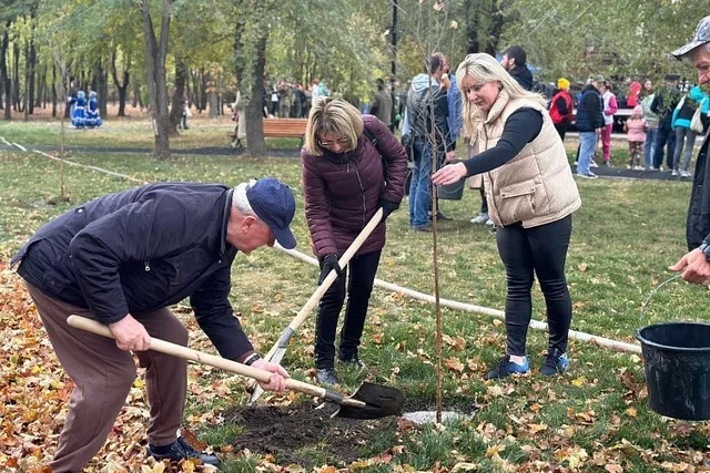 В Ростове пройдёт осенний День древонасаждения - Новости Ростова-на-Дону - последние новости Ростова-на-Дону сегодня на 1rnd.ru, 30.09.2026