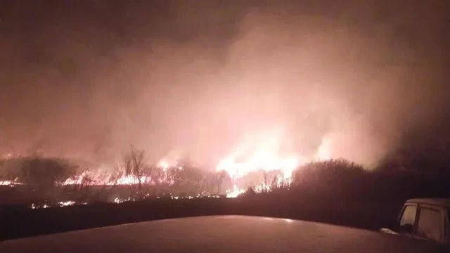 Ночное возгорание сухой травы в Верхнедонском районе тушили восемь человек Ночное возгорание сухой травы в Верхнедонском районе тушили восемь человек - Новости Ростова-на-Дону - последние новости Ростова-на-Дону сегодня на 1rnd.ru, 21.10.2026