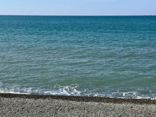 На Кубани установилась солнечная, но ветреная погода - Краснодарский край, 14.03.2026