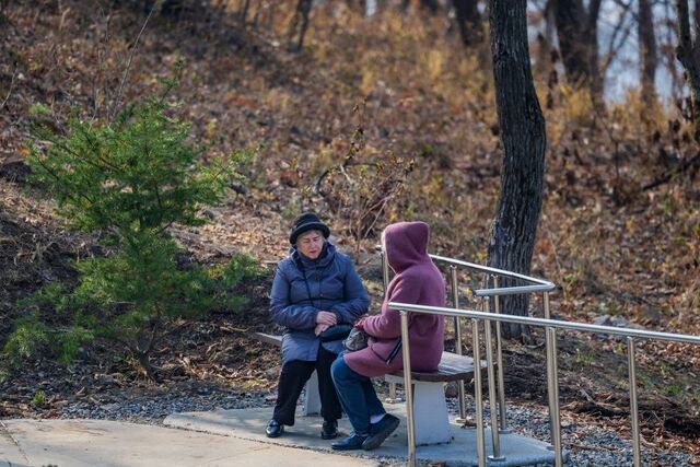 Парк на Ватутина пополнился 1200 растениями во Владивостоке Парк на Ватутина пополнился 1200 растениями во Владивостоке - Deita.ru — российское информационное агентство, 07.11.2025