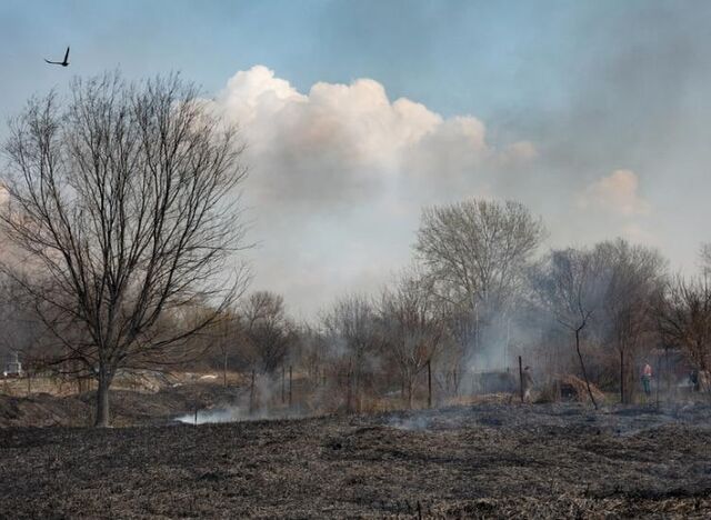 На Дону проводятся контролируемые выжигания сухой растительности - Информагентство «ДОН 24», 10.03.2026