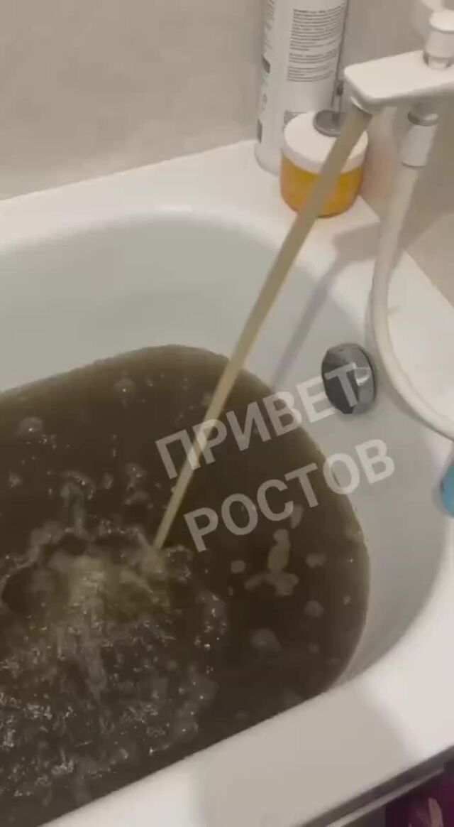 «Болотную воду» министр ЖКХ Дона Пшеничная назвала соответствующей нормам - Privet-Rostov.ru, 30.03.2026