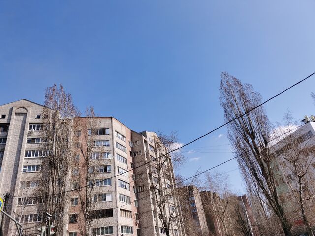 Прогноз погоды в Воронеже на субботу, 4 апреля - МОЁ! Online. Все новости Воронежа, 03.04.2026