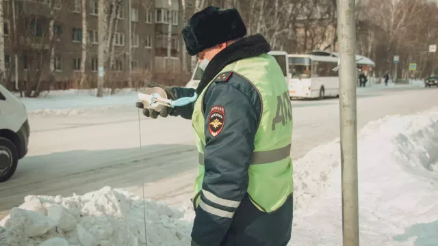В Ростовской области устроят облавы на пьяных водителей 23 февраля - RostovGazeta, 22.02.2024