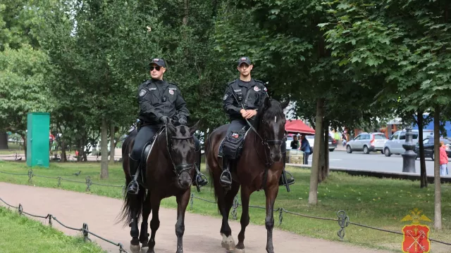 Для полиции в Ростове-на-Дону закупят 5 лошадей за 6 млн рублей - RostovGazeta, 26.07.2024