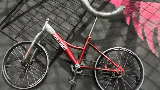 Сотрудник цирка Демидовых признал свою вину в смерти гимнаста в Ростове - RostovGazeta, 11.12.2024