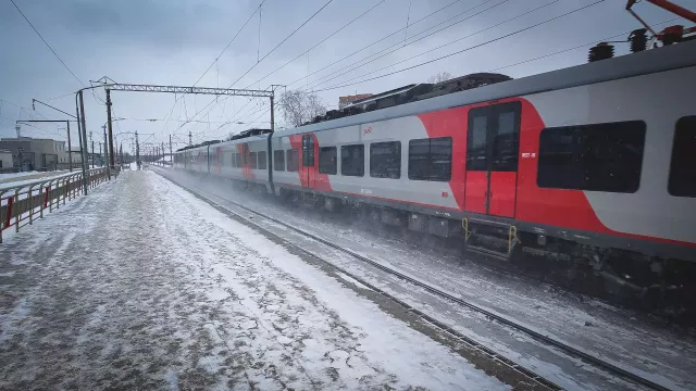 В полиции рассказали, что за неопознанные предметы нашли в локомотиве в Сальске - RostovGazeta, 26.12.2024