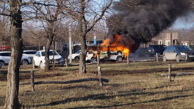 Пожар произошел в знаменитом парке птиц в Ростовской области - RostovGazeta, 07.01.2025