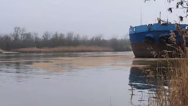 Большие масляные пятна появились на реке Дон в Ростовской области - RostovGazeta, 28.01.2025