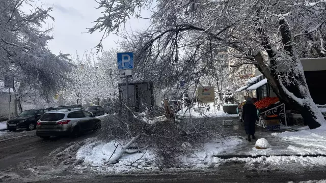 Прокуратура взяла на контроль работу коммунальщиков в Ростове - RostovGazeta, 04.02.2025