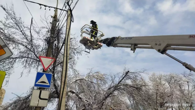 Из-за непогоды в Ростове-на-Дону рухнули больше 200 деревьев - RostovGazeta, 05.02.2025