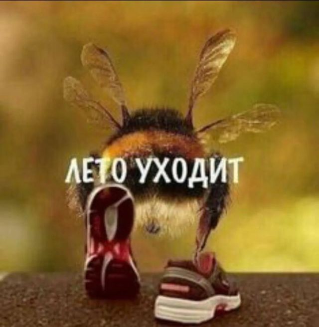 Мокрый снег и заморозки ожидают Свердловскую область в финале лета -  ЕАН. Европейско-Азиатские Новости, 27.08.2026