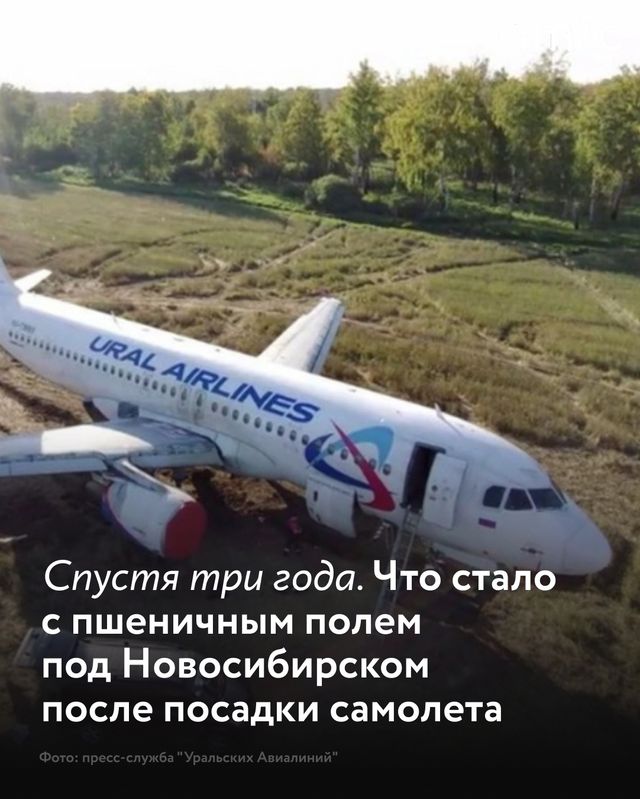 Ровно три года назад, 12 сентября 2023 года, пассажирский Airbus A320 авиакомпании «Уральские авиалинии» совершил аварийную посадку на пшеничном поле в Новосибирской области. - Amic.ru Новости Алтайского края, 12.09.2026