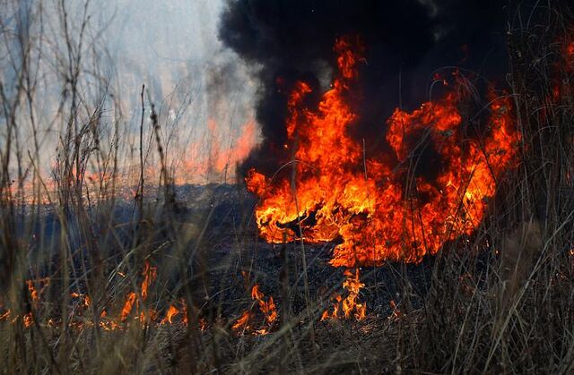Два природных пожара тушат в Приморье - Vladnews.ru - Новости Владивосток и Дальнего Востока, 27.04.2024