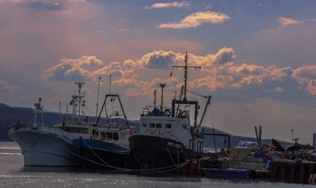 Рыбные порты Приморского края загружены на 30% - Vladnews.ru - Новости Владивосток и Дальнего Востока, 08.05.2024