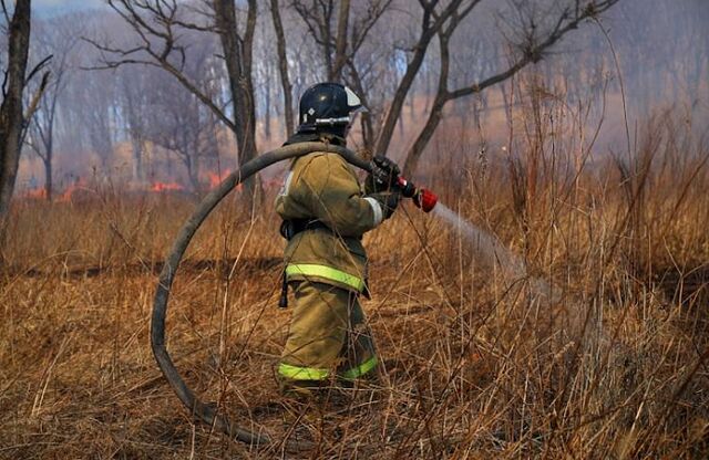 Два природных пожара потушили в Приморье за выходные - Vladnews.ru - Новости Владивосток и Дальнего Востока, 20.05.2024