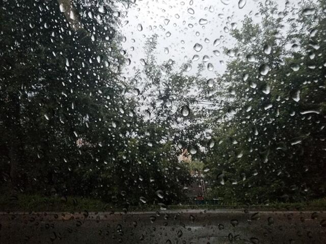 Сильный дождь пройдет в Приморье - Vladnews.ru - Новости Владивосток и Дальнего Востока, 27.07.2024