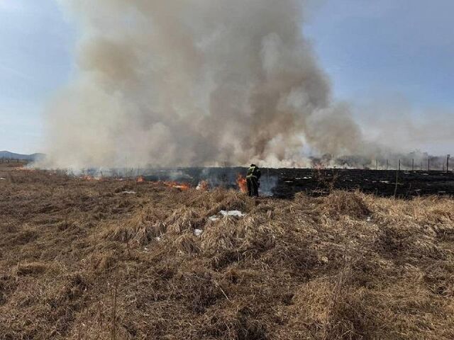 Пожарные остановили пал сухой травы на подходе к Зарубино - Vladnews.ru - Новости Владивосток и Дальнего Востока, 13.03.2025