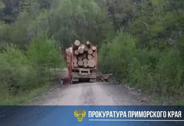Прокуратура проводит проверку по факту разрешения моста в Приморье - Vladnews.ru - Новости Владивосток и Дальнего Востока, 23.05.2025