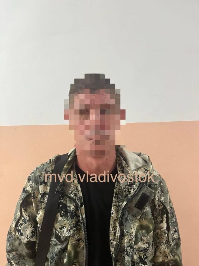 Вандал, повредивший статую тигра во Владивостоке, задержан - Vladnews.ru - Новости Владивосток и Дальнего Востока, 17.07.2025
