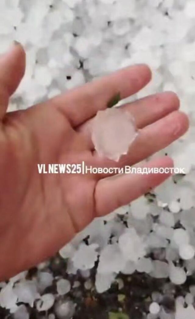 Град размером с пятирублевую монету обрушился на село в Приморье - Vladnews.ru - Новости Владивосток и Дальнего Востока, 03.09.2025
