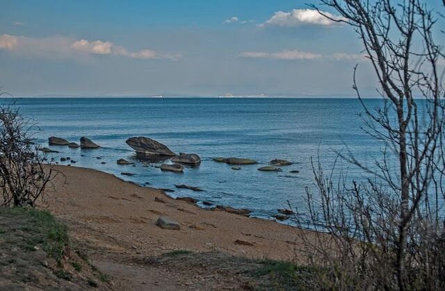 Прокуратура Приморья возвратила в казну забытый причал - Vladnews.ru - Новости Владивосток и Дальнего Востока, 30.10.2025