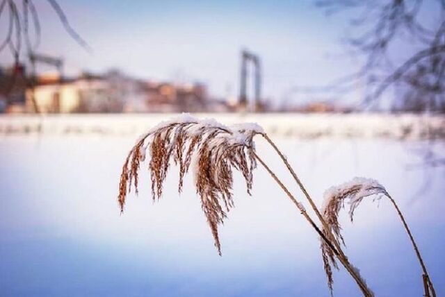 Морозы, снег и резкое потепление ждут Приморье Морозы, снег и резкое потепление ждут Приморье - Vladnews.ru - Новости Владивосток и Дальнего Востока, 07.11.2025