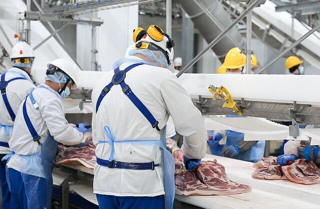 Приморье лидирует на Дальнем Востоке по производству молока, мяса и яиц - Vladnews.ru - Новости Владивосток и Дальнего Востока, 12.11.2025