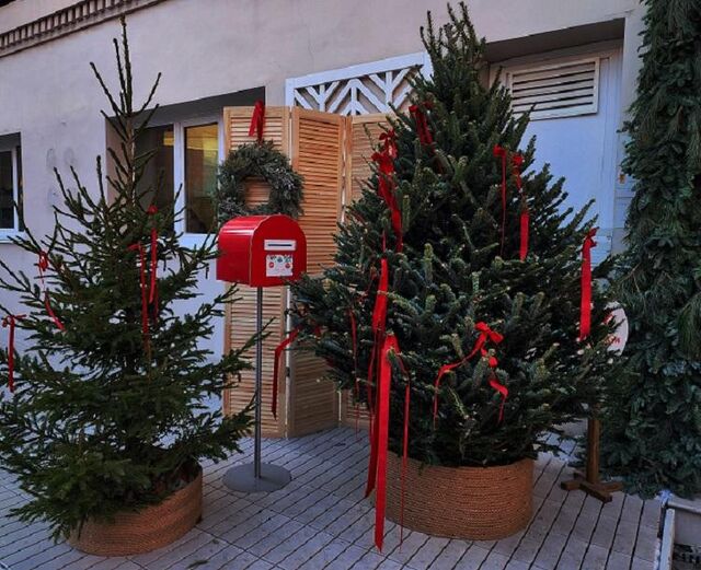 Рождество Христово: как подготовиться к 40-дневному посту Рождество Христово: как подготовиться к 40-дневному посту - Vladnews.ru - Новости Владивосток и Дальнего Востока, 17.11.2025