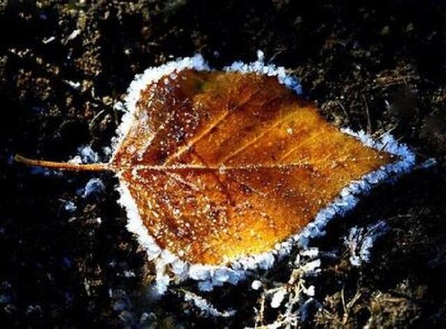 Самым теплым днем во Владивостоке на этой неделе будет четверг - Vladnews.ru - Новости Владивосток и Дальнего Востока, 17.11.2025