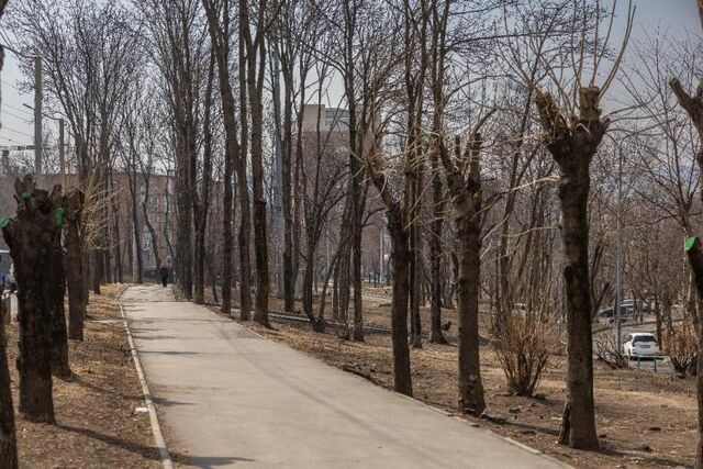 Аллея на Кирова преобразится: концепцию обсудят во Владивостоке - Vladnews.ru - Новости Владивосток и Дальнего Востока, 18.11.2025