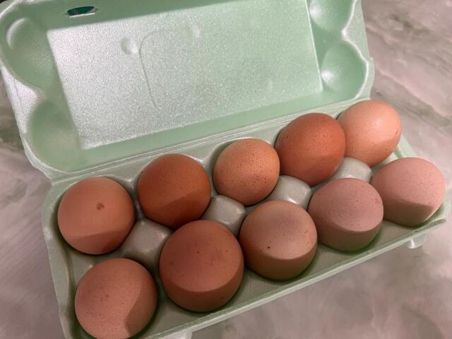 Цены на куриные яйца в Приморье выросли на 17% в октябре - Vladnews.ru - Новости Владивосток и Дальнего Востока, 19.11.2025