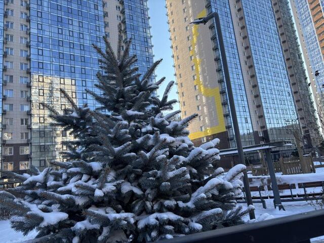 Зима возвращается: Владивосток ждет снежная неделя - Vladnews.ru - Новости Владивосток и Дальнего Востока, 23.02.2026