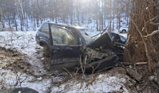 В Приморье молодой водитель не справился с управлением и въехал в дерево В Приморье молодой водитель не справился с управлением и въехал в дерево - Vladnews.ru - Новости Владивосток и Дальнего Востока, 25.02.2026
